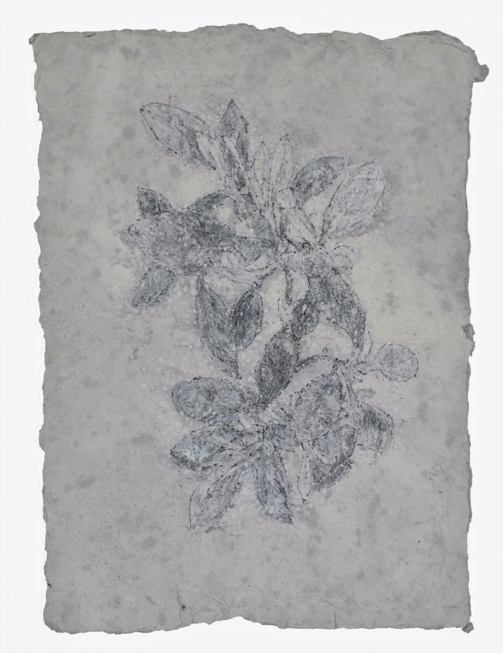 羅文欣 凋-Ⅰ 代針筆‧蠟筆‧炭筆‧鉛筆‧壓克力‧紙本 30×22cm 2021 NT.9,000