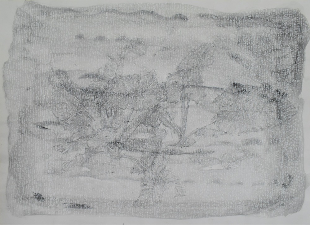 羅文欣  澤-Ⅲ  鉛筆‧蠟筆‧墨‧紙本  39×53cm  2021  NT.25,000