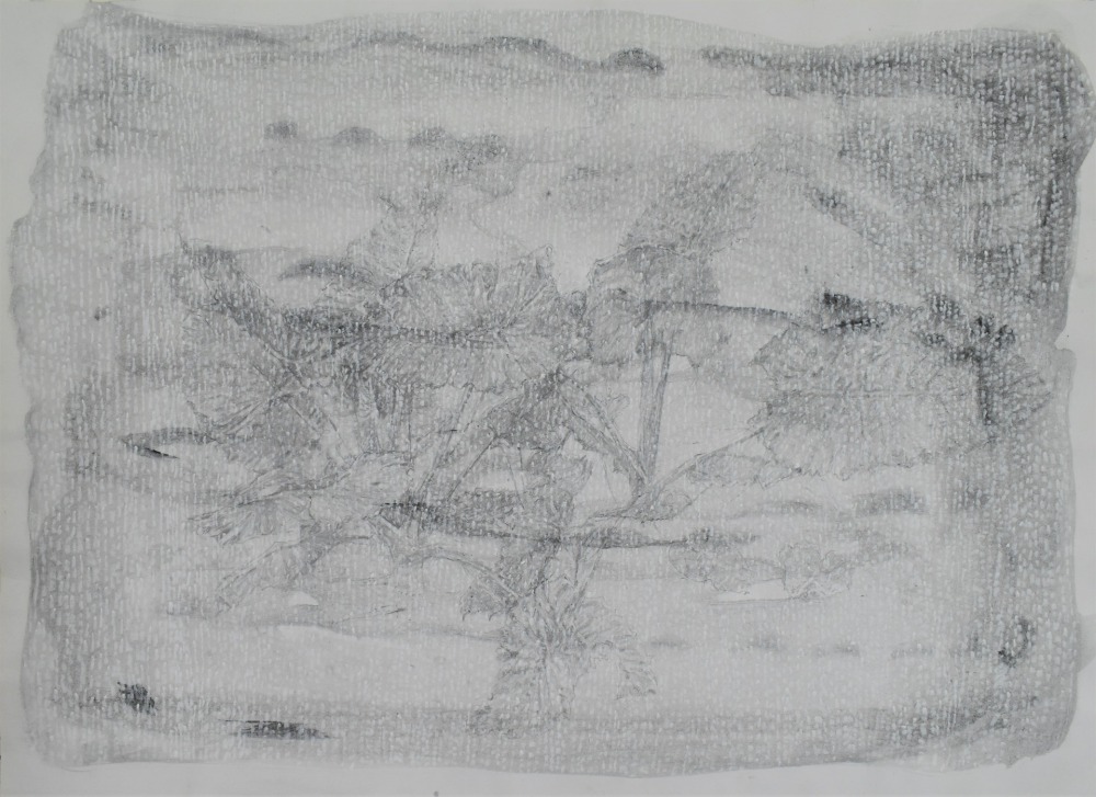 羅文欣 澤-Ⅲ 鉛筆‧蠟筆‧墨‧紙本 39×53cm 2021 NT.25,000