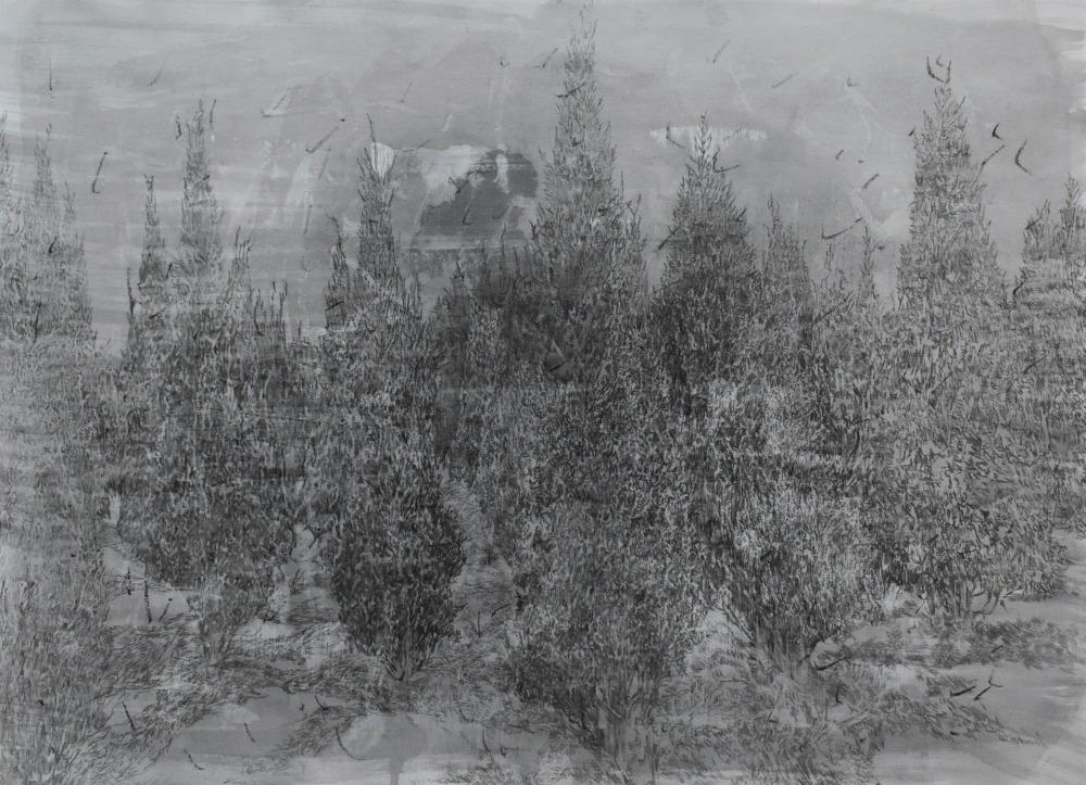 羅文欣 凝滯-Ⅰ 鉛筆‧蠟筆‧壓克力‧墨‧紙本 39×53cm 2021 NT.25,000