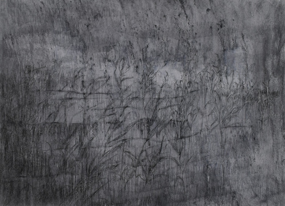 羅文欣  凝滯-Ⅱ  代針筆‧鉛筆‧蠟筆‧墨‧紙本  39×53cm  2021  NT.25,000