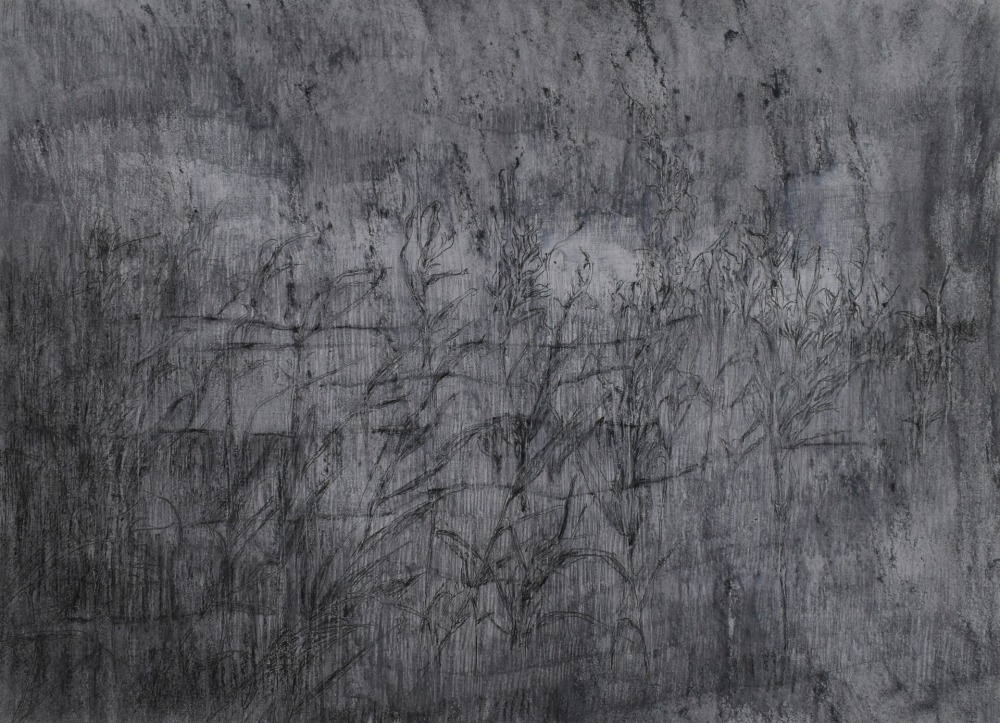 羅文欣 凝滯-Ⅱ 代針筆‧鉛筆‧蠟筆‧墨‧紙本 39×53cm 2021 NT.25,000