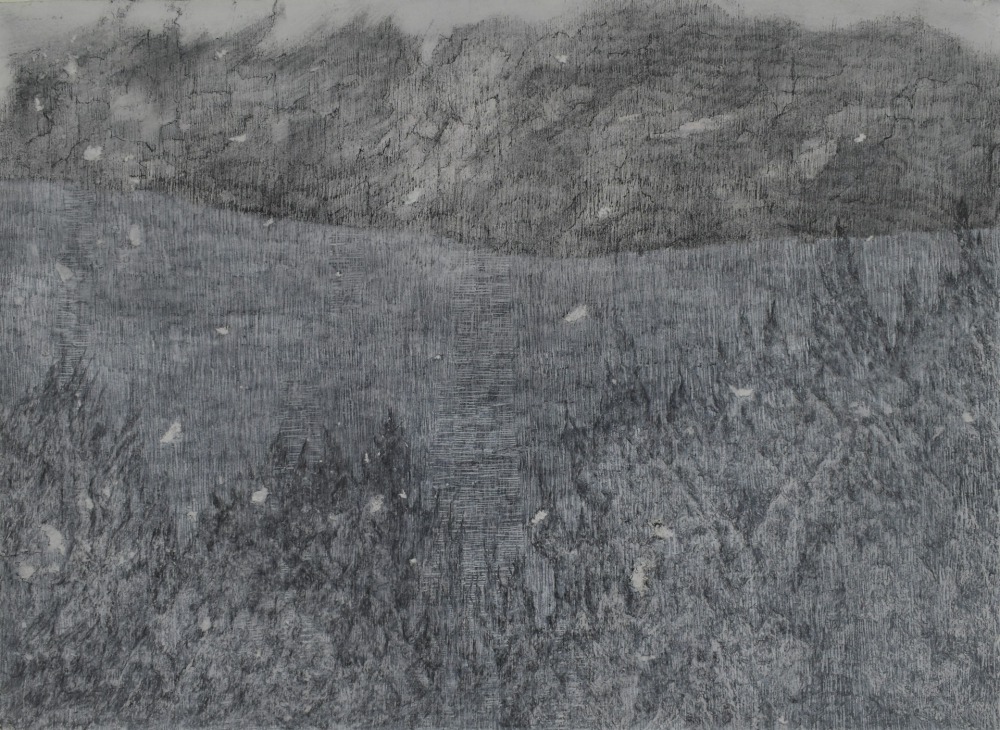 羅文欣 凝滯-Ⅲ 代針筆‧鉛筆‧蠟筆‧墨‧紙本 39×53cm 2021 NT.25,000