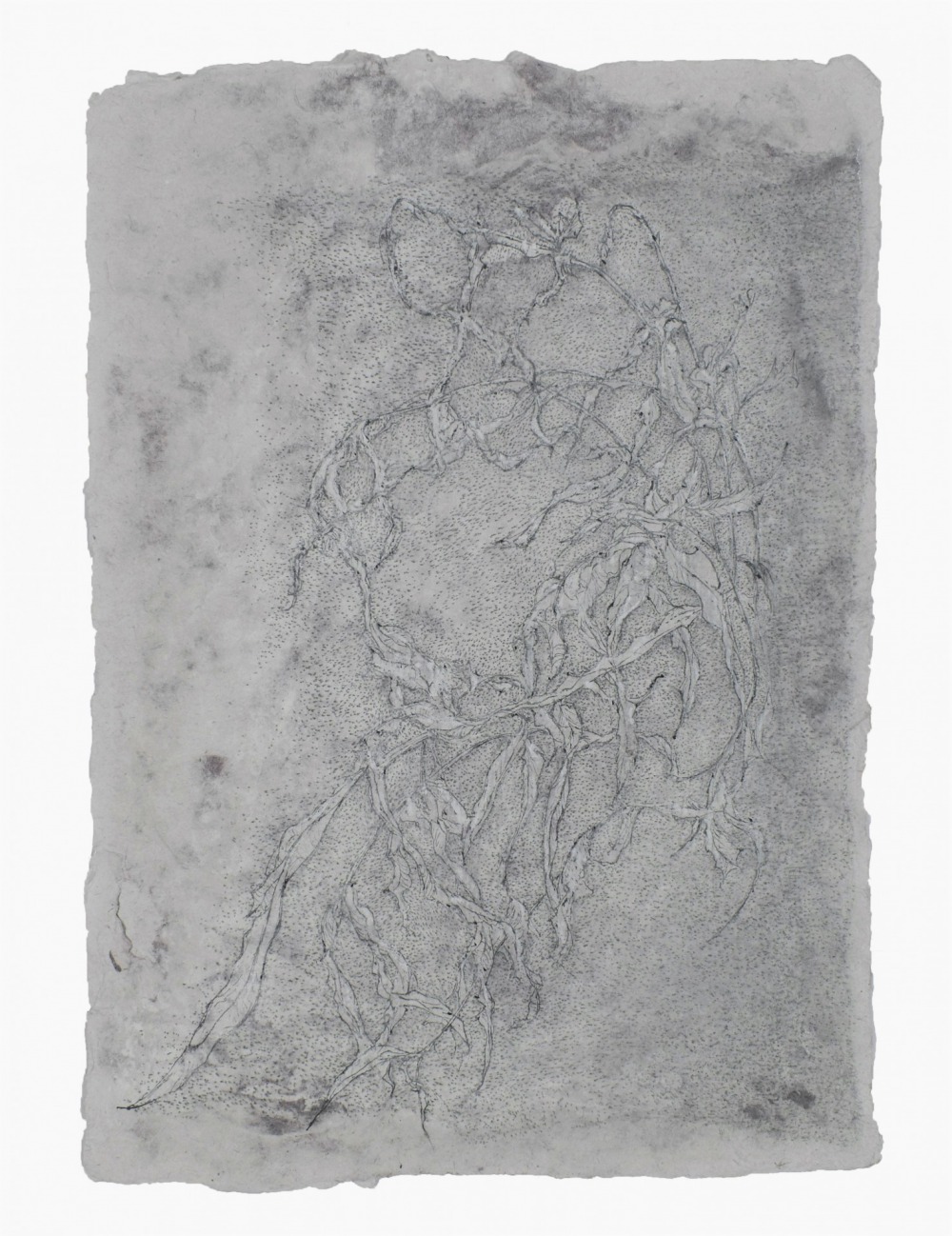 羅文欣  凋-Ⅱ  鉛筆‧蠟筆‧墨‧紙本  30×22cm  2021  NT.9,000