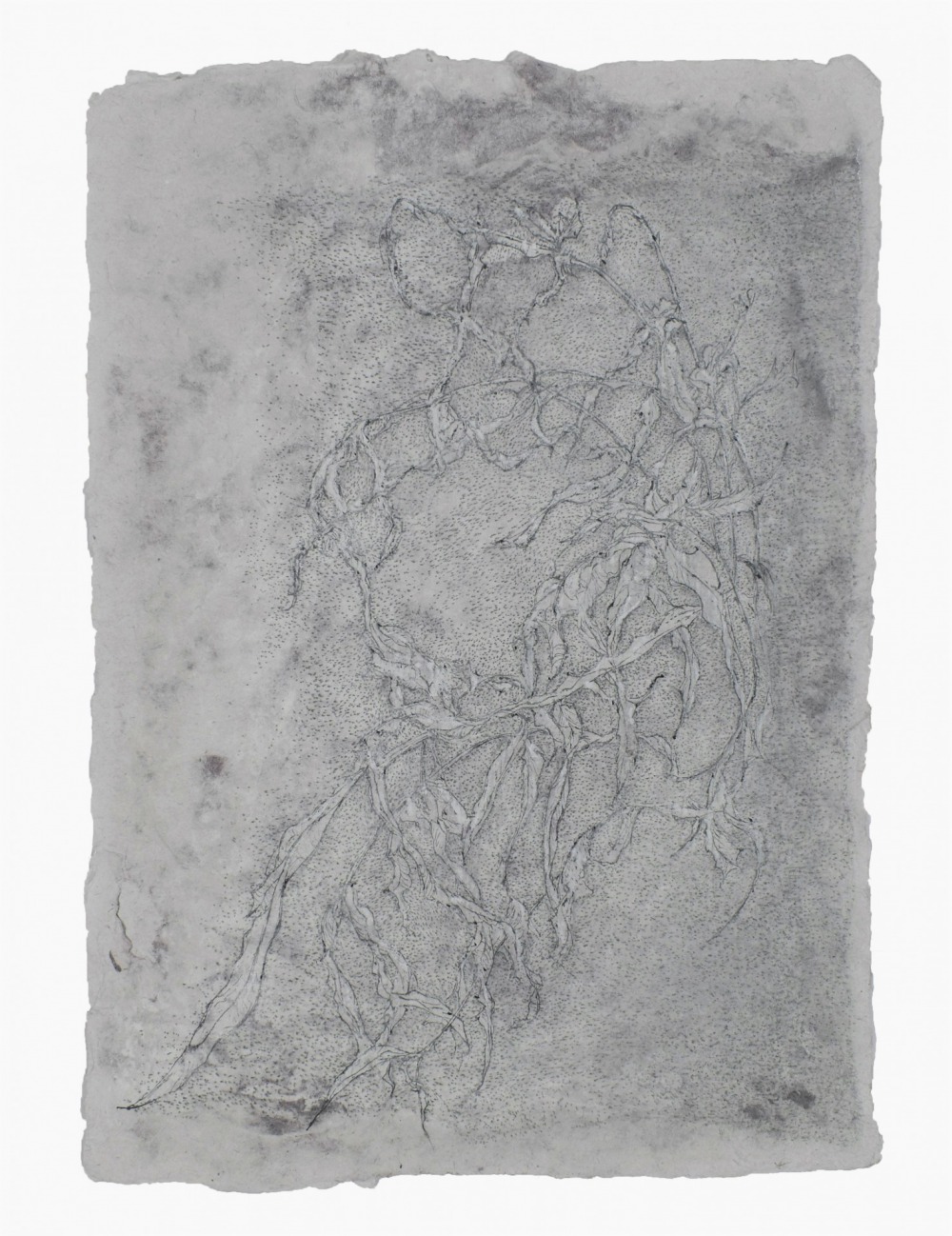 羅文欣 凋-Ⅱ 鉛筆‧蠟筆‧墨‧紙本 30×22cm 2021 NT.9,000