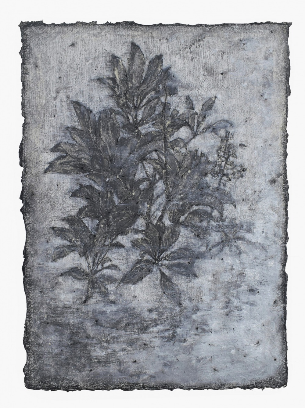 羅文欣 浸 代針筆‧炭筆鉛筆‧蠟筆‧壓克力‧紙本 41×30cm 2021 NT.15,000