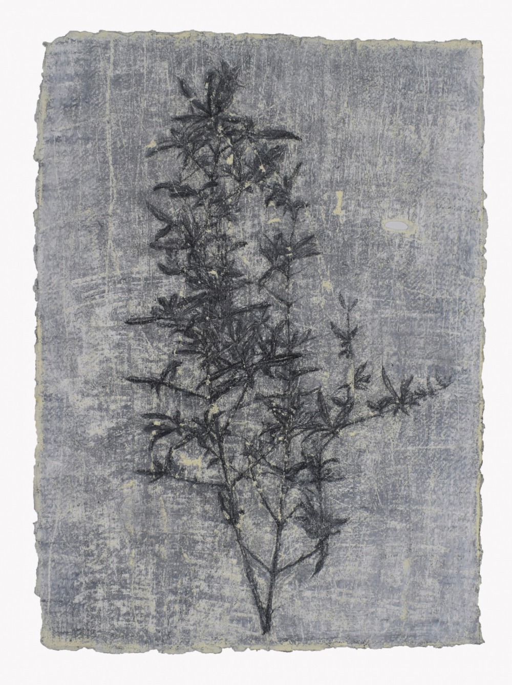羅文欣 穿 代針筆‧炭筆鉛筆‧蠟筆‧紙本 41×30cm 2021 NT.15,000