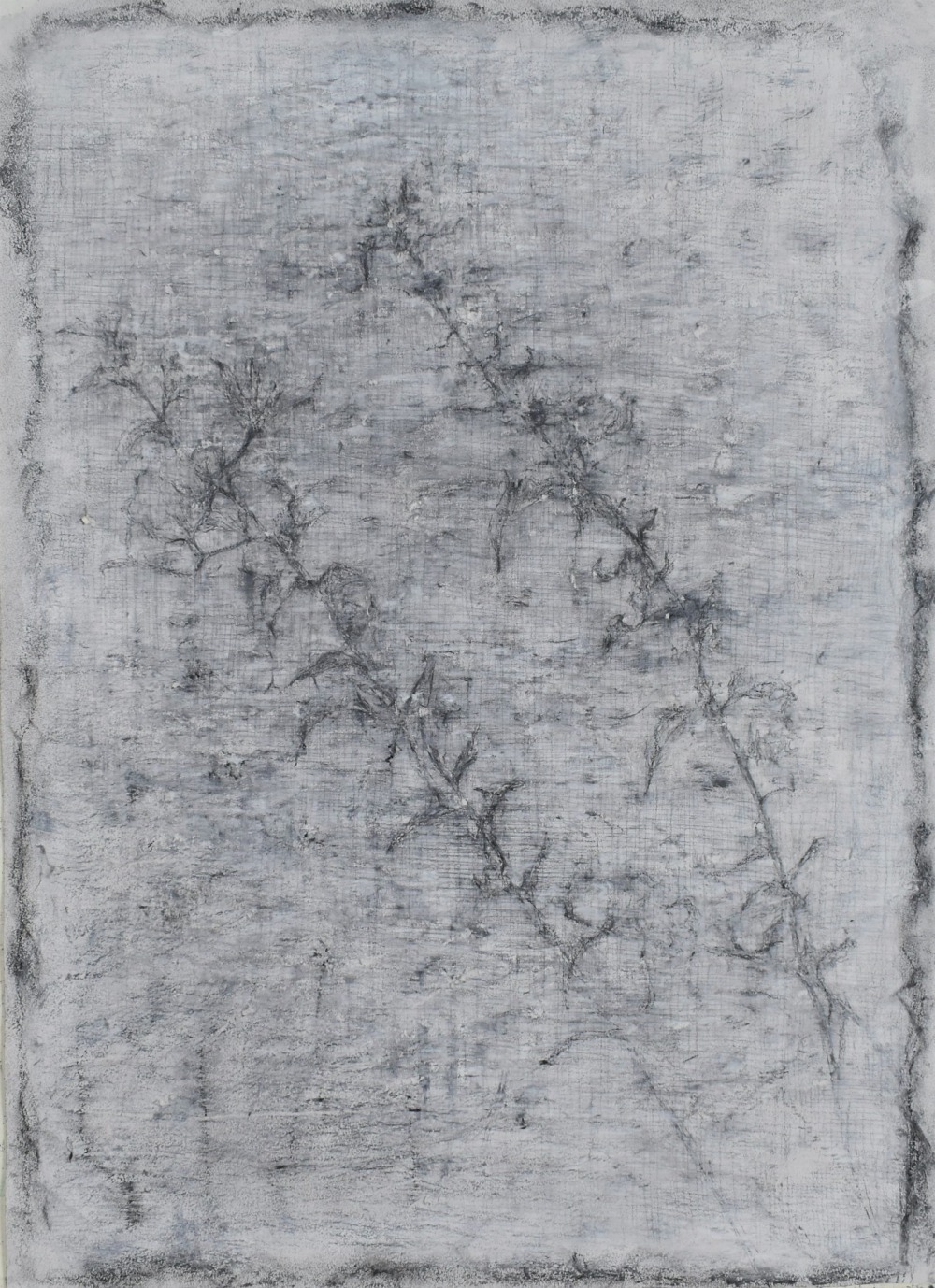 羅文欣  澤-Ⅱ  代針筆‧炭筆‧蠟筆‧墨‧紙本  53×39cm  2021  NT.25,000