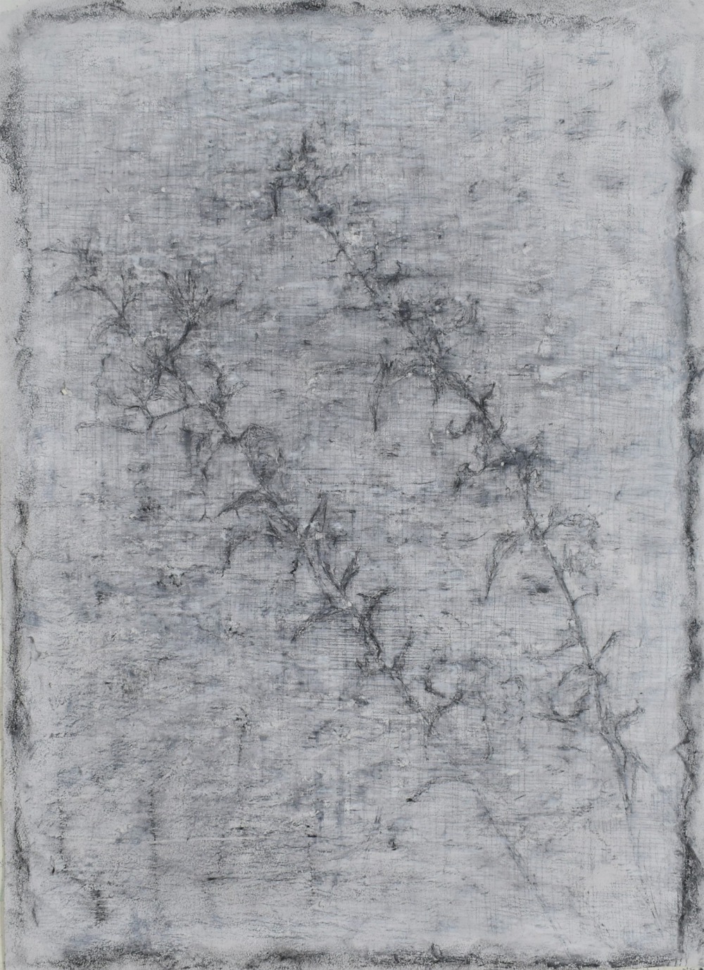 羅文欣 澤-Ⅱ 代針筆‧炭筆‧蠟筆‧墨‧紙本 53×39cm 2021 NT.25,000