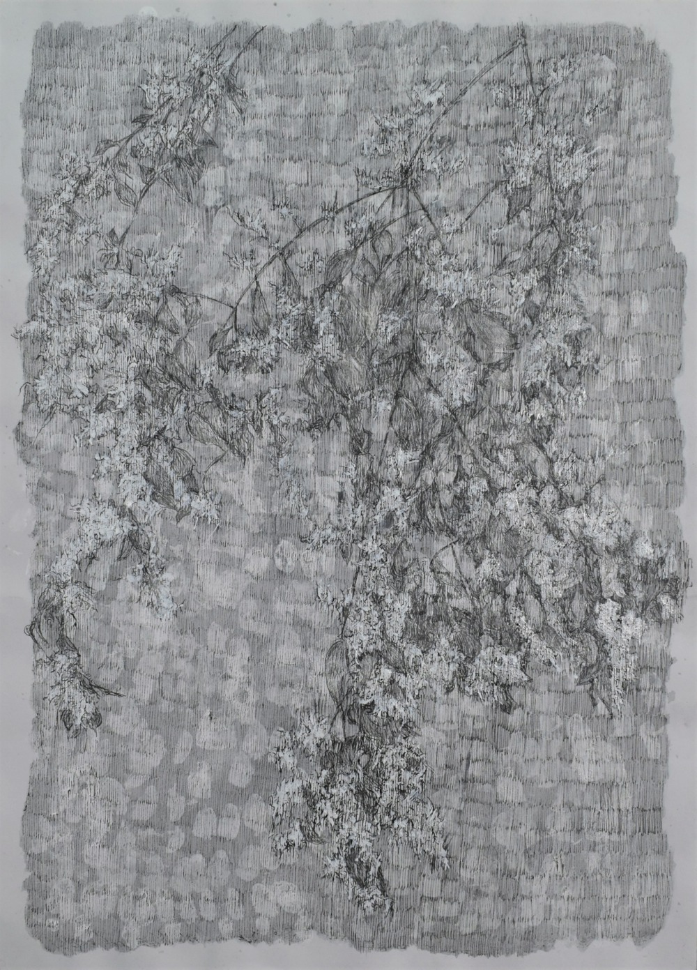 羅文欣 爍 代針筆‧炭筆‧蠟筆‧墨‧紙本 53×39cm 2021 NT.25,000