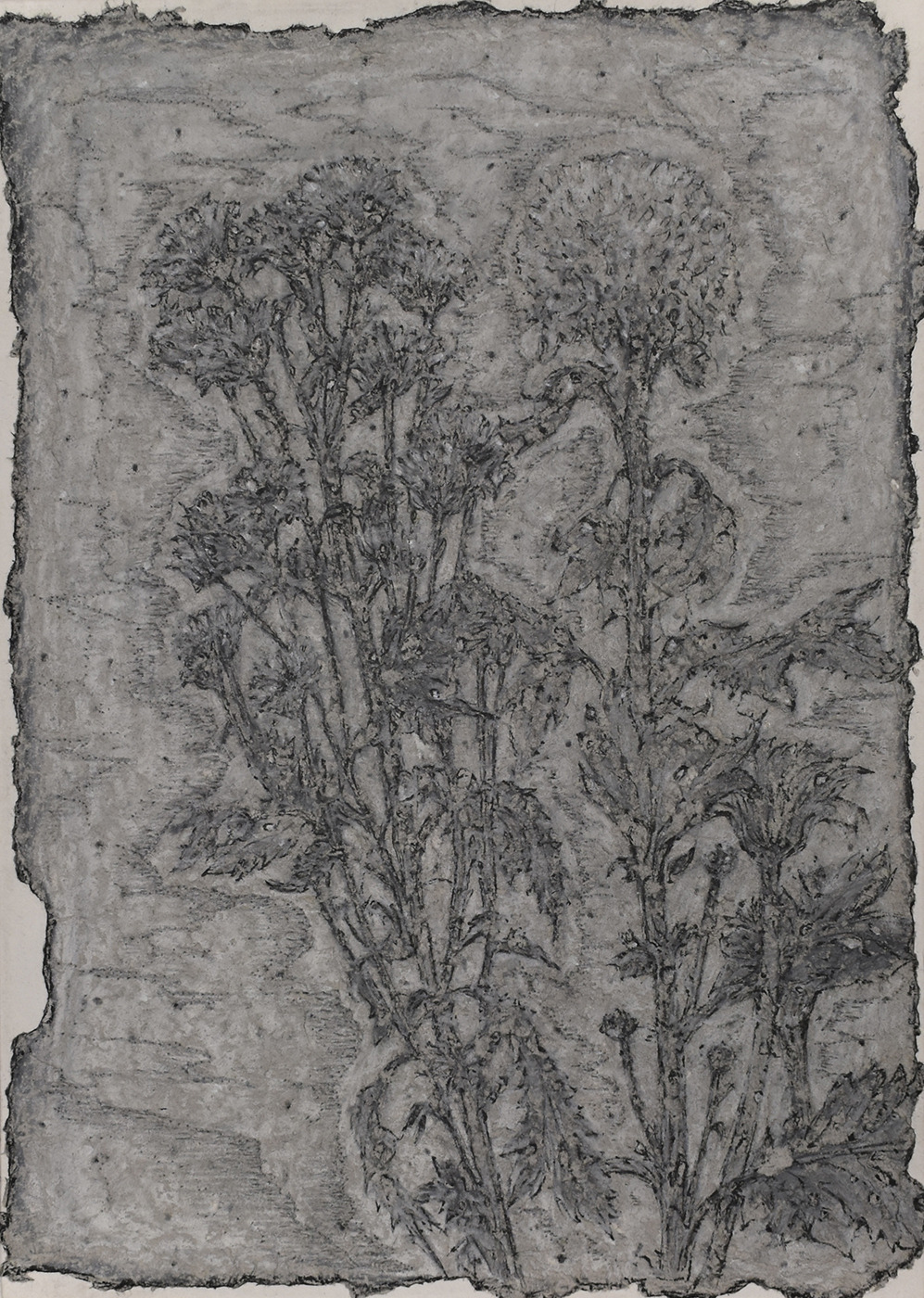 羅文欣_禮物-1_代針筆、蠟筆、鉛筆、墨、紙本_31×22cm_2023