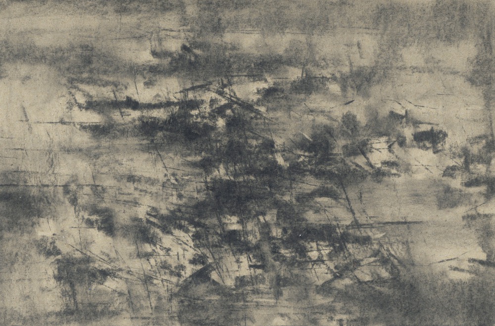大象視界21-7 36.4x24.1cm 炭筆 ‧ 馬糞紙 2021