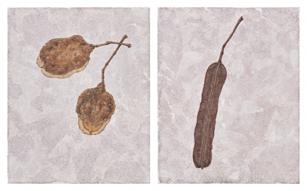 鍾舜文 南方的採集5 膠彩‧紙本 18×14.6cm x2件 2020 NT.30,000