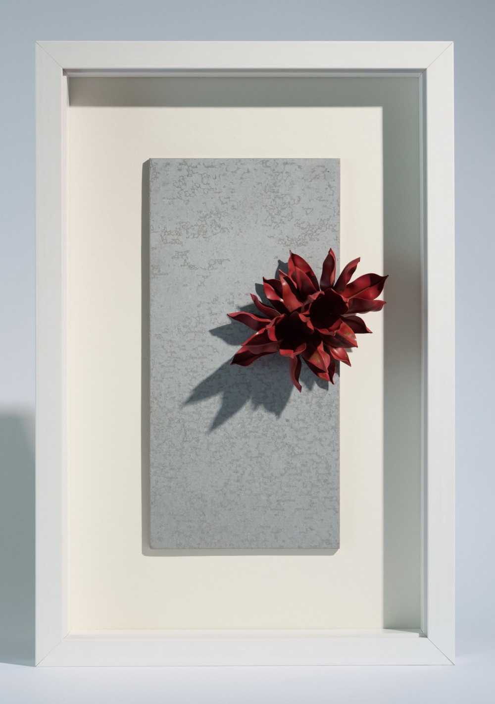 廖建清 伴生#3 31×47×5cm(含框) 紅銅、化學染色、水泥板 2023