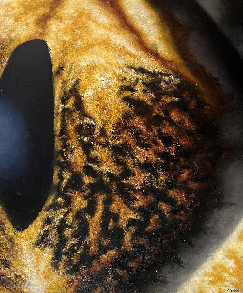 許喬茵 熒惑 油彩、畫布 100×80 cm 2019