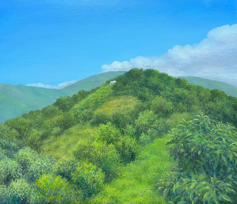 林志瑜_小屋_油彩、畫布_45.5x53cm_2021