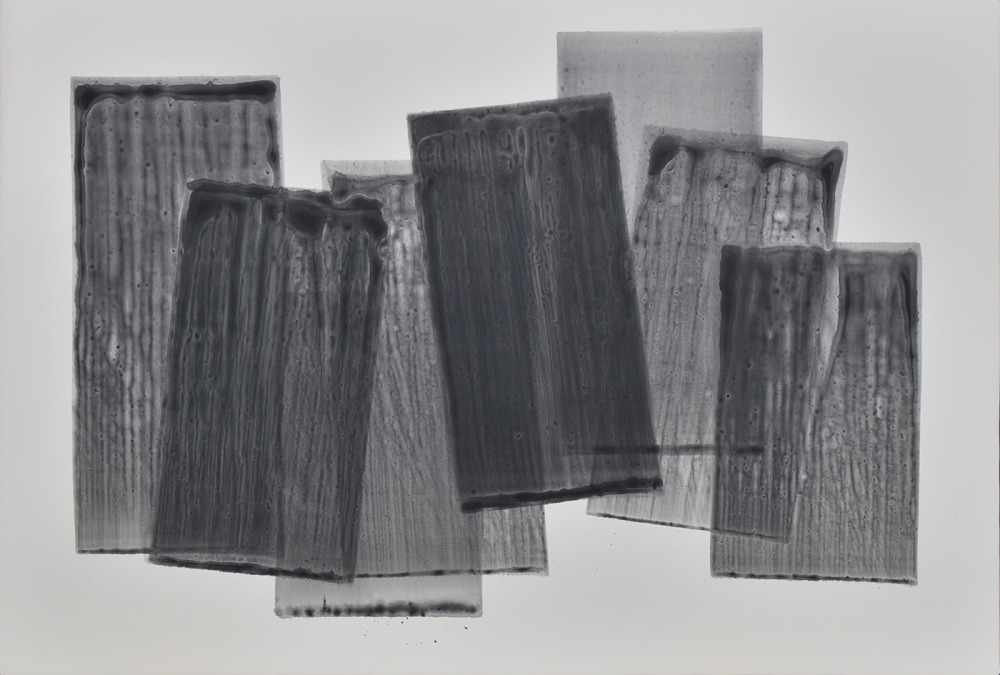 黃于珊_沙丁魚-20M2508_壓克力顏料_50x72.5cm_2025