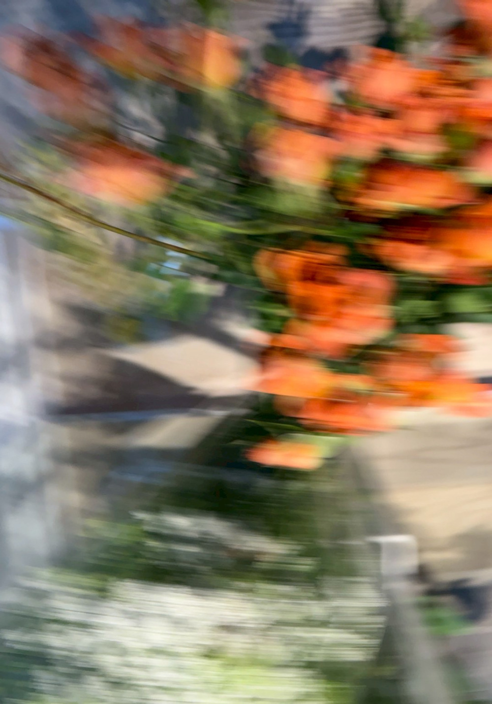 張麗莉_花想世界03_純棉蝕刻藝術紙_29x39cm_2025
