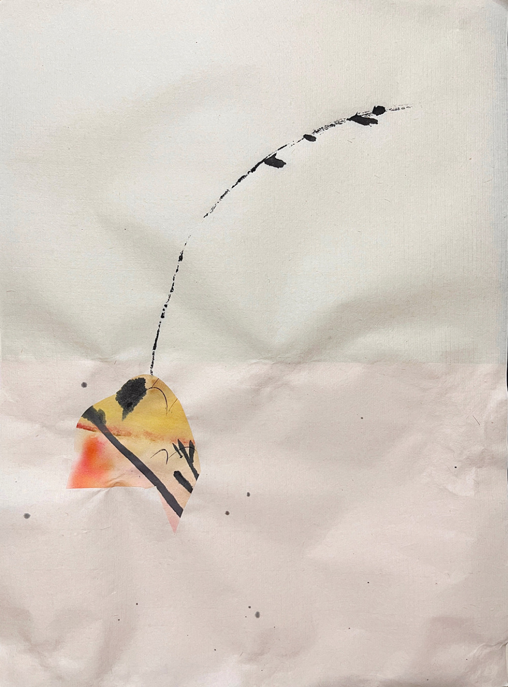 三井悠華