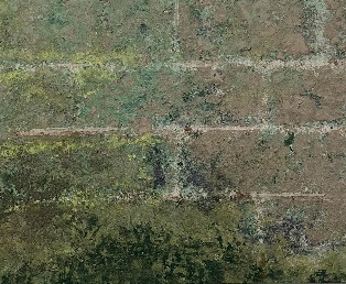 許瑜庭(鹿向夷)_地圖_礦物質顏料、水干、紙_27×23cm×5_2021