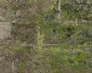 許瑜庭(鹿向夷)_地圖_礦物質顏料、水干、紙_27×23cm×5_2021