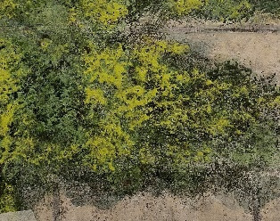 許瑜庭(鹿向夷)_地圖_礦物質顏料、水干、紙_27×23cm×5_2021