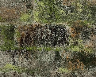許瑜庭(鹿向夷)_地圖_礦物質顏料、水干、紙_27×23cm×5_2021