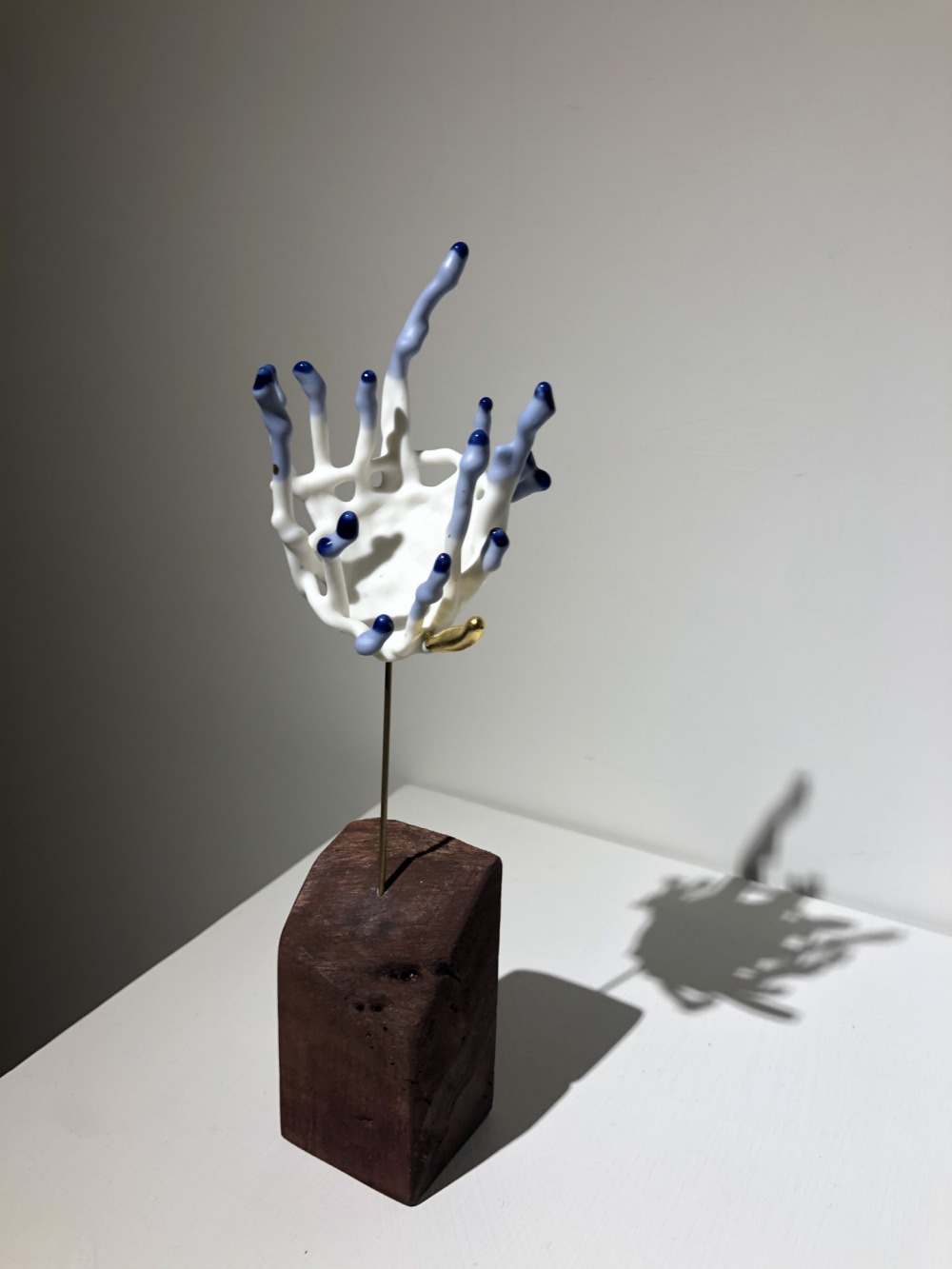 殼系列-荒花 瓷土、木、金箔、黃銅 7x5x21cm 2021