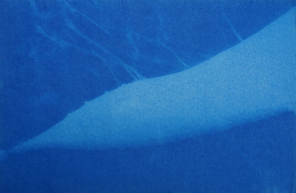 王文心 葉02-藍曬、鋁框 33×23 2023