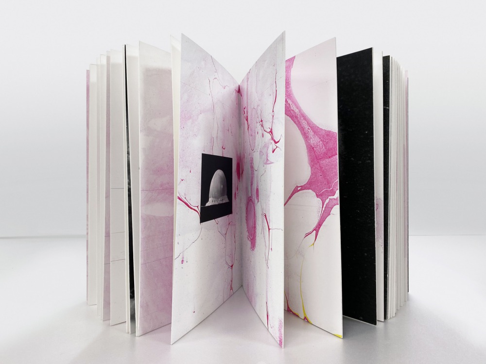 Maria Lezhnina Marble is a state of Matter book 數位輸出、書盒 美術紙78頁 30x21cm(1/5版) 2019