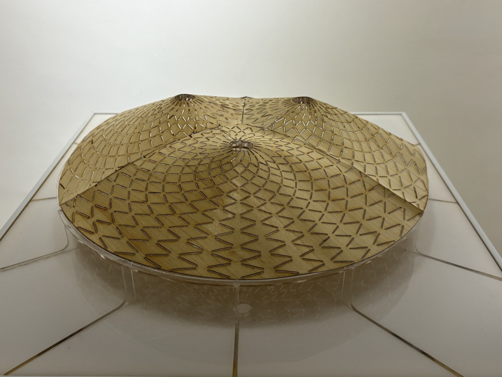 Wendy Teo (張文婷) 眾眼系列Coiling Snake-樹皮、壓克力 50 x 50 2023