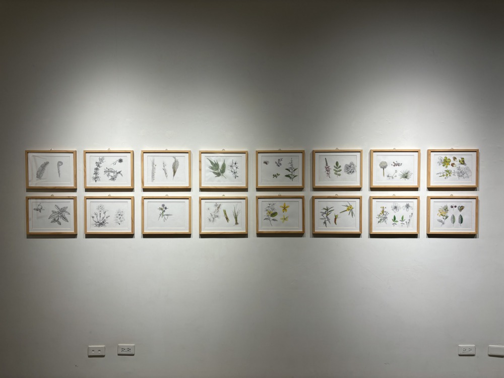 共感地景&台東女中美術班 野地博物館植物圖鑑-水彩、紙本 35×27 2022