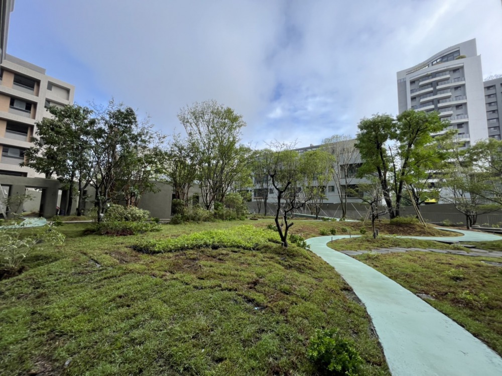 請照景觀現況-2