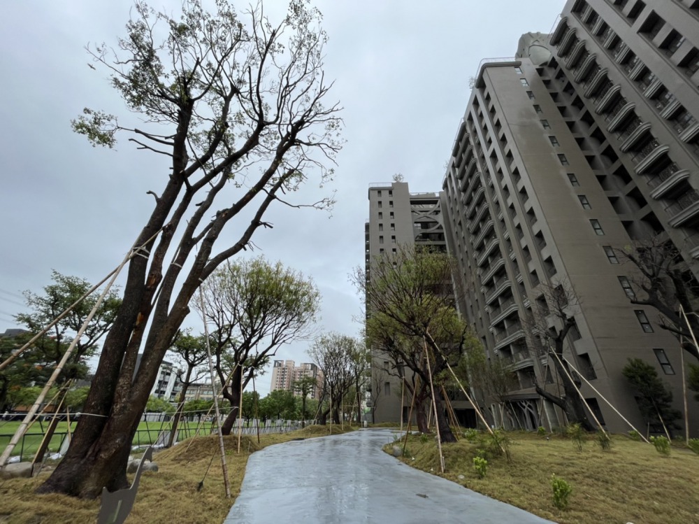 請照景觀現況-4